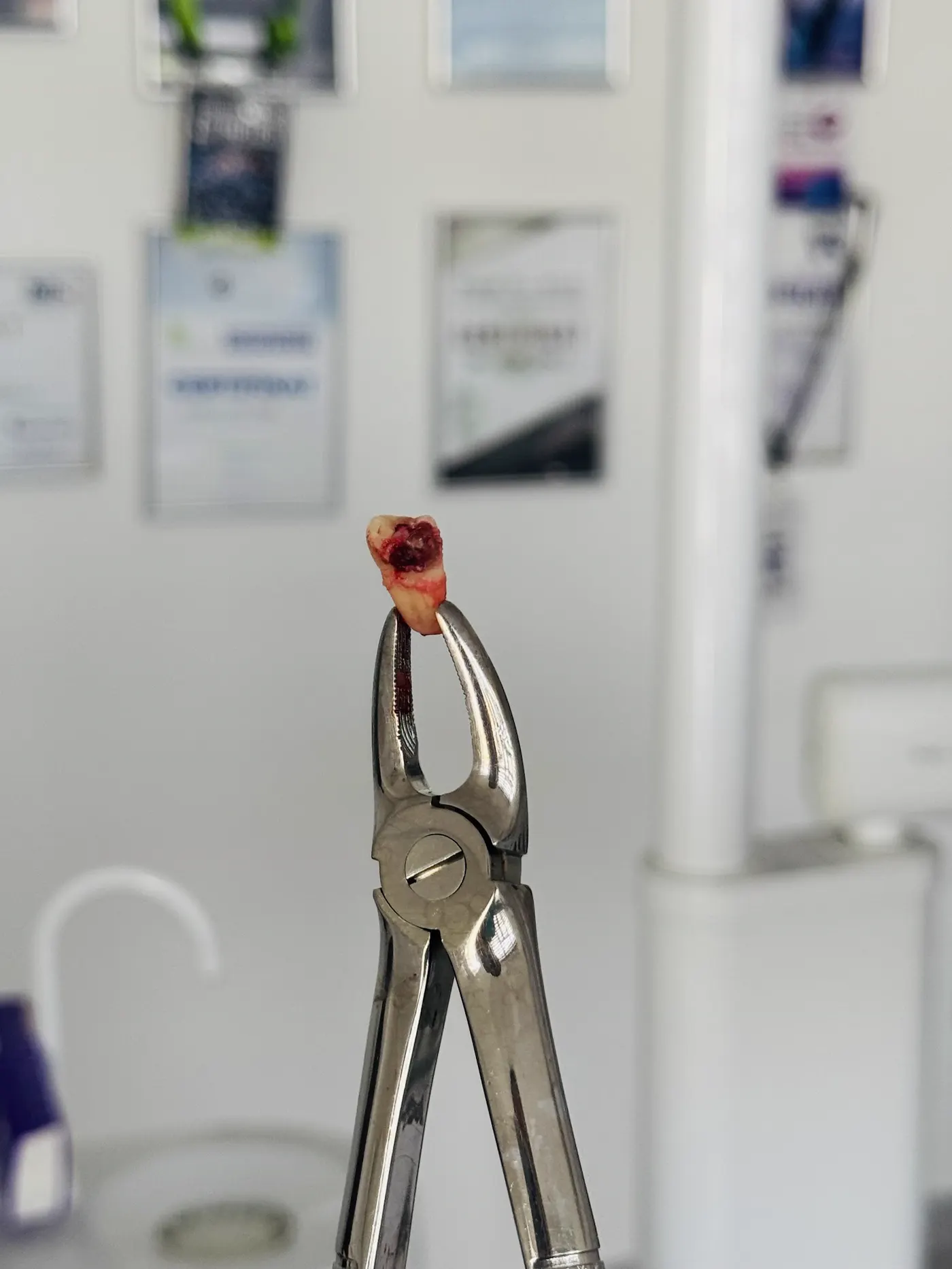 Stomatološka ordinacija L-dent — fotografija 5